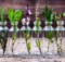 10-herbs-you-can-grow-indoors-in-water-all-year-long