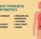 15 Most Powerful Natural Antibiotics Known to Mankind