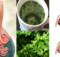 Home remedy that will help you cleanse your kidneys right away