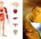 Take One Teaspoon of Turmeric a Day and These 7 Miracles Will Happen to Your Body