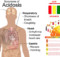 THESE ARE THE SIGNS OF HIGH LEVEL OF ACIDITY IN YOUR BODY. THIS IS HOW TO ALKALIZE IT
