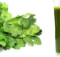 10 Advantages of Coriander Juice Related to Your Overall Health