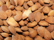 Doctors will never admit that apricot seeds are extremely effective against cancer cells without any side effects