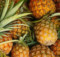 Get these health benefits by consuming Pineapple