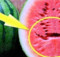 If you find this in watermelon you should throw it immediately!! Read more to find out about the danger over your health…