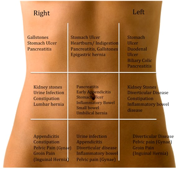 belly map