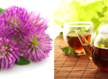 How to Make a Powerful Red Clover Healing Tea