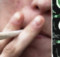 See What Happens In the Body After Marijuana Is Consumed