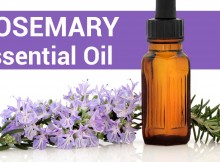 Today there is a trend of utilizing essential oils for medical aims that becomes popular to a greater extent. Anyway, as said by Modern Essentials, a guide for remedial uses of essential oils, rosemary essential oil is the greatest and most helpful ones. First-class rosemary oil has powerful antibacterial, anticancer, analgesic, anti-infection, antioxidant, antifungal, expectorant, and anti-inflammatory properties. Health Benefits of Rosemary Essential Oil - Respiratory Problems – there is certain evidence that the smell of this oil could give relief from throat congestion. Additionally, it is really efficient for taking care of colds, flu, sore throat, and allergies. - Memory Booster – In the end, Shakespeare was right for saying that rosemary makes the memory better. As said by many researchers, when the essential oil from the herb is inhaled before, it allows people to memorize doing things. Many tests demonstrated that persons exposed to rosemary essential oil had 60-70% better memories related to people that haven’t been exposed. Rosemary Essential oil could be utilized for healing a lot of health problems, like: - Clarity – Simply add a drop of Rosemary Essential oil to your hands and rub together. Also cup your nose and mouth for about 1 minute. - Cough - Put 1 to 2 drops on your chest and throat and rub every few hours. - Headaches - Add a drop to your hands. Cup your nose and mouth for one minute. You could also apply a drop topically on painful parts of your head and rub smoothly. - Vaginal infection - Rub 1 or 2 drops in or around the vagina. Take care for test for sensitivity before internal use. - Learning and memory - Inhale the oil straight from a bottle, disperse it around the room, rub to your toes, or over your temples regularly. Drop two drops of Rosemary Essential oil on the shower floor with intention to clear your sinuses. You will also better your memory, improve your immune system, and avert colds!