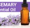 Today there is a trend of utilizing essential oils for medical aims that becomes popular to a greater extent. Anyway, as said by Modern Essentials, a guide for remedial uses of essential oils, rosemary essential oil is the greatest and most helpful ones. First-class rosemary oil has powerful antibacterial, anticancer, analgesic, anti-infection, antioxidant, antifungal, expectorant, and anti-inflammatory properties. Health Benefits of Rosemary Essential Oil - Respiratory Problems – there is certain evidence that the smell of this oil could give relief from throat congestion. Additionally, it is really efficient for taking care of colds, flu, sore throat, and allergies. - Memory Booster – In the end, Shakespeare was right for saying that rosemary makes the memory better. As said by many researchers, when the essential oil from the herb is inhaled before, it allows people to memorize doing things. Many tests demonstrated that persons exposed to rosemary essential oil had 60-70% better memories related to people that haven’t been exposed. Rosemary Essential oil could be utilized for healing a lot of health problems, like: - Clarity – Simply add a drop of Rosemary Essential oil to your hands and rub together. Also cup your nose and mouth for about 1 minute. - Cough - Put 1 to 2 drops on your chest and throat and rub every few hours. - Headaches - Add a drop to your hands. Cup your nose and mouth for one minute. You could also apply a drop topically on painful parts of your head and rub smoothly. - Vaginal infection - Rub 1 or 2 drops in or around the vagina. Take care for test for sensitivity before internal use. - Learning and memory - Inhale the oil straight from a bottle, disperse it around the room, rub to your toes, or over your temples regularly. Drop two drops of Rosemary Essential oil on the shower floor with intention to clear your sinuses. You will also better your memory, improve your immune system, and avert colds!