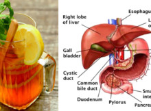 You Only Need a Sip and Your Liver Will Be Renewed Because This Plant is Curative!
