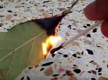Burn Bay Leaves In Your Home for These 3 Amazing Health Benefits