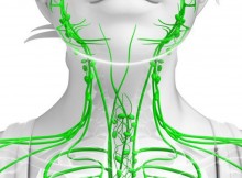 Signs of a Clogged Lymphatic System and 10 Ways to Cleanse It