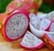 The Most Amazing Health Benefits of Dragon Fruit