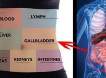 How to Detox Every Organ in Your Body and Never Be Sick or Tired
