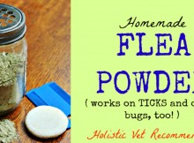 Kill Fleas and Other Insects Naturally With This Homemade Flea Powder